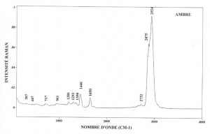 Ambre (FTR)