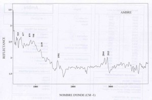 Ambre Rissie (IRS)