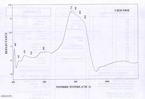 Crocoise (IRS)