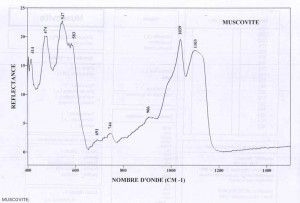 Muscovite (IRS)